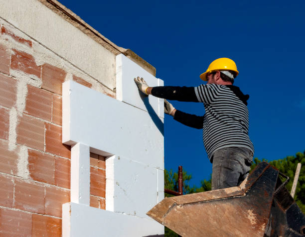 Best Cellulose Insulation in Walbridge, OH