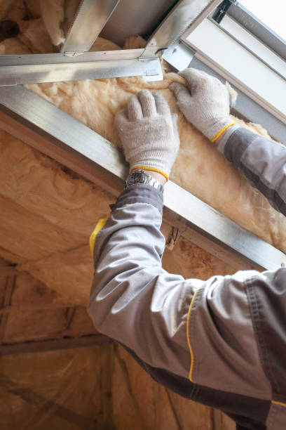 Best Residential Insulation in Walbridge, OH