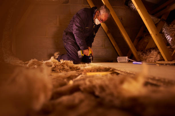Best Specialized Insulation Services in Walbridge, OH